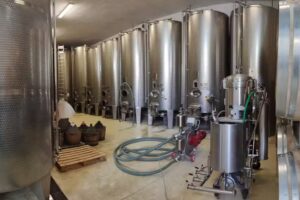 Accornero Giulio E Figli S.S.