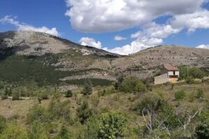 “Adonis” Bar Ristorante Camere