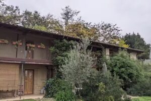 Affittacamere Borgocapo