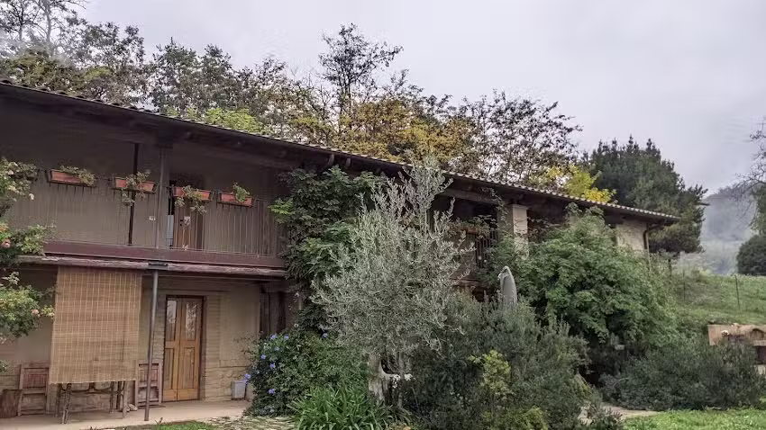 Affittacamere Borgocapo