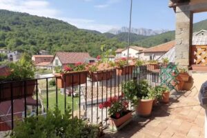 Affittacamere Coletti