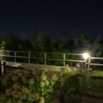 Affittacamere Daniela