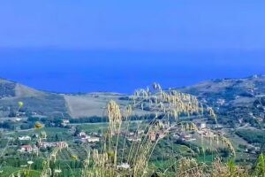 Affittacamere La Camilla Di Zaccaria Margherita