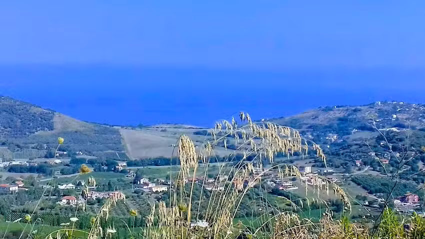 Affittacamere La Camilla Di Zaccaria Margherita