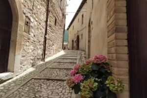 Affittacamere Nonna Rosa