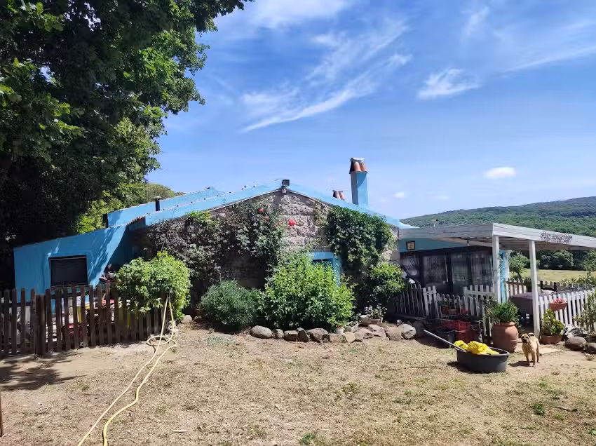 Affittacamere Paradiso