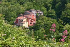 Affittacamere Serenella