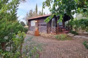 Agricampeggio Darwin di Andrea Morelli