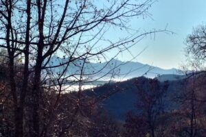 Agricampeggio – La Luna e il Falò