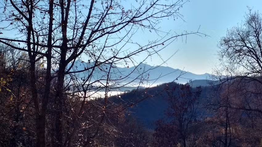 Agricampeggio – La Luna e il Falò