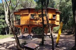 Agricampeggio Sant’Ignazio | Agricampeggio Baratti, Vicino al mare Golfo di Baratti in Toscana