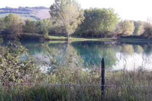 Agricola Forestale Pianura Verde Snc Di Bompadre M. E L.