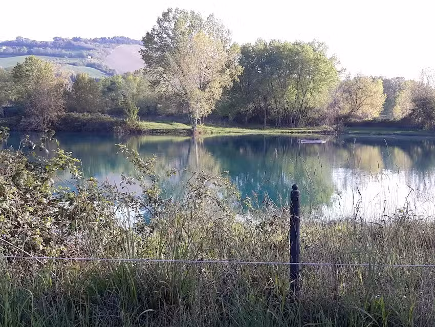 Agricola Forestale Pianura Verde Snc Di Bompadre M. E L.
