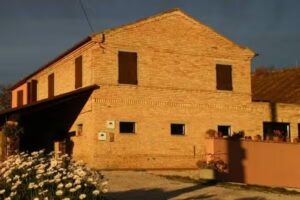 Agripanetteria M.E.S. di Cicchese Paola