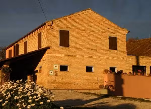 Agripanetteria M.E.S. di Cicchese Paola