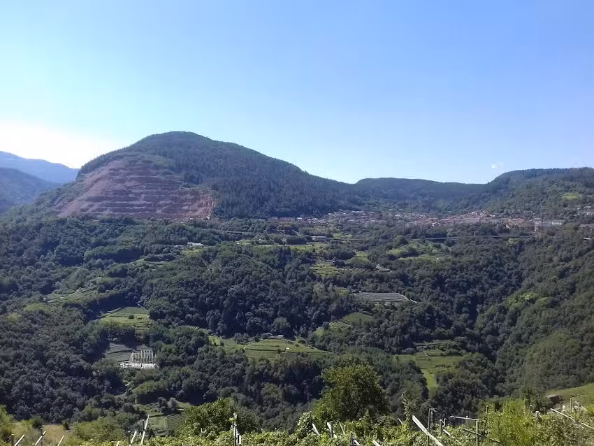 Agritur Ai Gregi di Paolo Ferretti