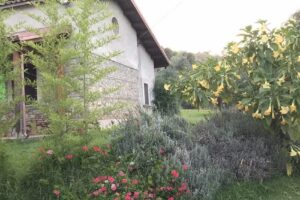 Agriturismo ‘A Pignara