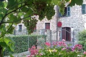 Agriturismo A Veggia Vigna