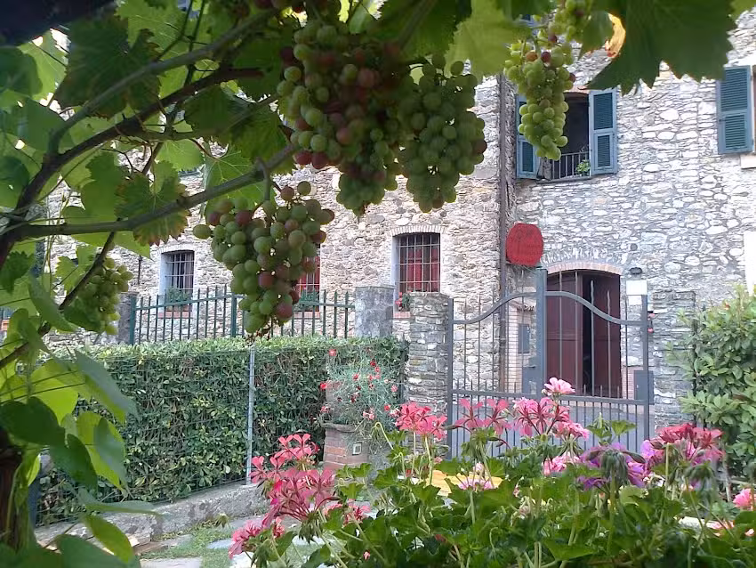 Agriturismo A Veggia Vigna