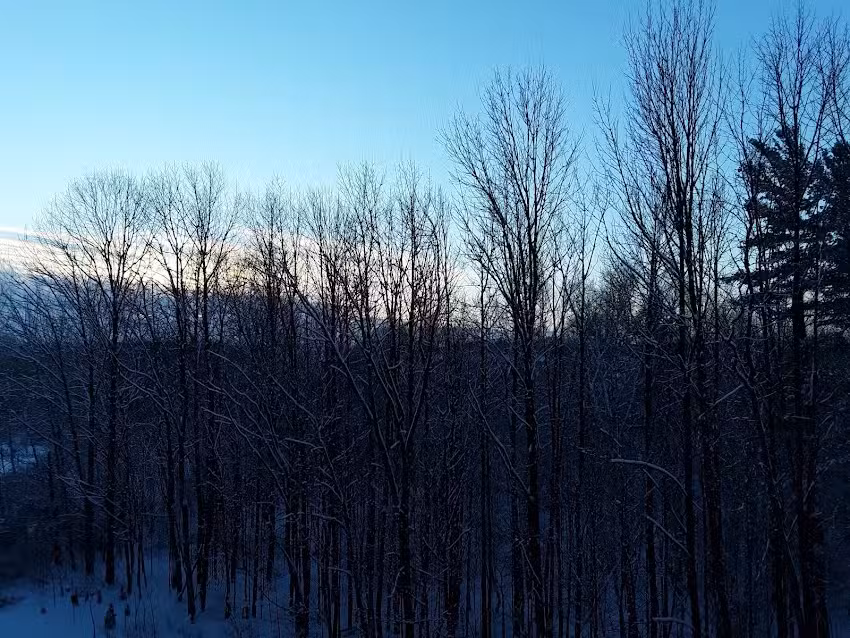 Agriturismo Agosti Anna Maria