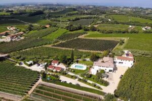 Agriturismo & Agricamping Serena