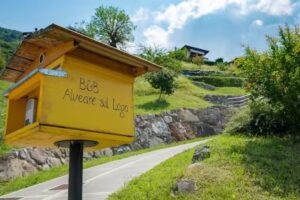 Agriturismo Alveare sul Lago