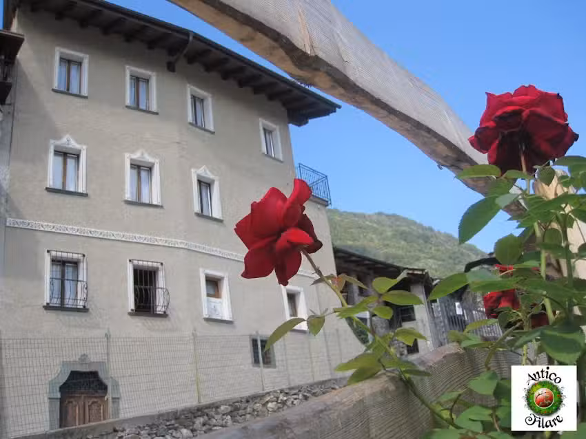 Agriturismo Antico Filare