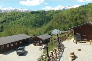 Agriturismo Asineria dei Colli di Moiola