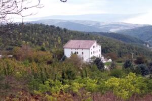 Agriturismo Avellaneta