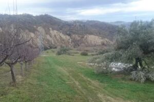 Agriturismo B&B : Azienda Agricola Ranalli