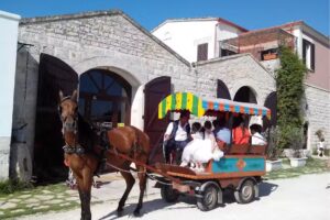 Agriturismo B&B Casale Torre San Magno