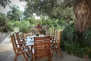 Agriturismo B&B Masciarella