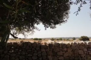 Agriturismo B&B Tenuta Cappello