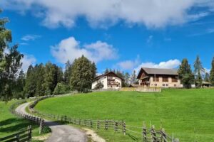 Agriturismo Bachnerhof