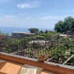 AGRITURISMO BELVEDERE