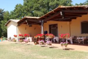 Agriturismo Belvedere Torre Alfina