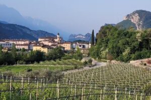 Agriturismo Benuzzi Oberhoffer