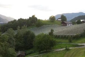 Agriturismo Biolandhof Hanig