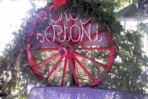 Agriturismo Borgo Bertoni