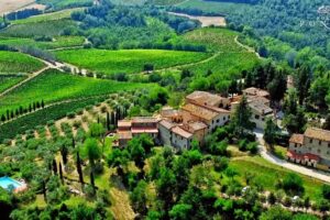 Agriturismo Borgo Poneta