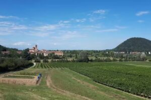 Agriturismo Boscalbò