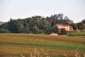 Agriturismo Bosco dei Poveri