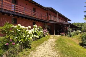Agriturismo Bosco Romagno