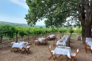 Agriturismo Calice Dei Cherubini