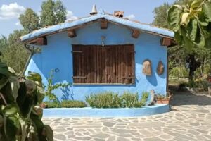 Agriturismo Camisadu