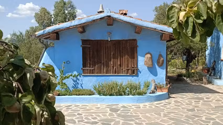 Agriturismo Camisadu