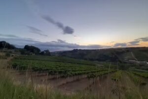 Agriturismo Campoletizia