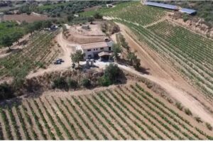 Agriturismo/Cantina Vigna de’ Luceri