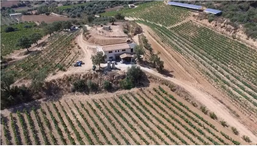 Agriturismo/Cantina Vigna de’ Luceri