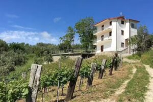 Agriturismo Casale Amendola